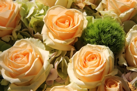 Bridal flower arrangement with pale pink rosesの写真素材