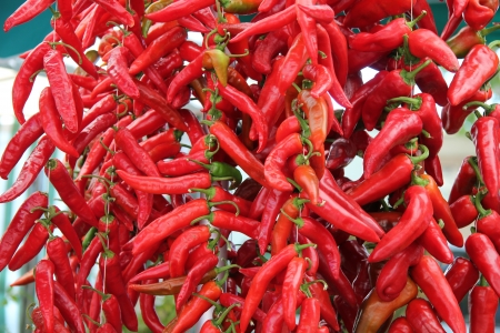 Fresh red chili peppers at a market in Franceの写真素材