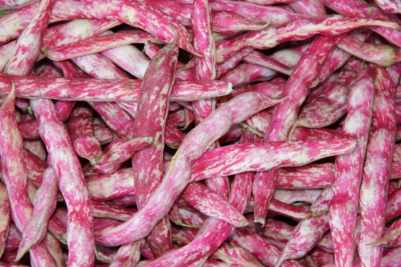 Red beans at a French market in the Provenceの写真素材