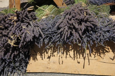 Bouquets of dried lavender for sale at a local market in the Provence, Franceの写真素材