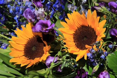 Mixed bouquet with big yellow sunflowers and purple eustomaの写真素材