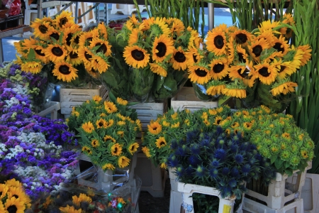 Flowershop with sunflowers at a Provencal marketの写真素材