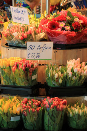 Tulips at a Dutch tourist shop (text on tag: price and product information in Dutch)のeditorial素材