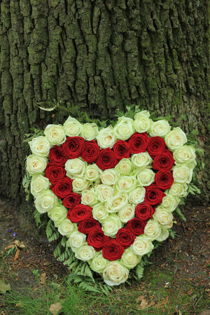 Red and white heart shaped sympathy flowers  or funeral flowers near a treeの写真素材