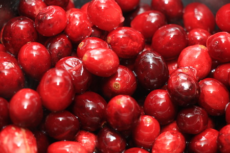 Preparing homemade cranberry sauce for thanksgiving or christmasの写真素材