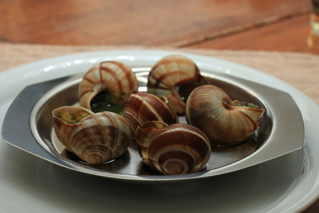 Escargots de Bourgogne on a metal plate, just out of the ovenの写真素材