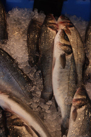 Fresh fish on ice at a fish market