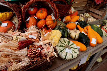 Velserbroek, the Netherlands, October 17th 2018: Autumn decorations in a store display. Text on tags: prices and product information in Dutchのeditorial素材