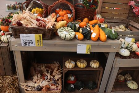 Velserbroek, the Netherlands, October 17th 2018: Autumn decorations in a store display. Text on tags: prices and product information in Dutchのeditorial素材