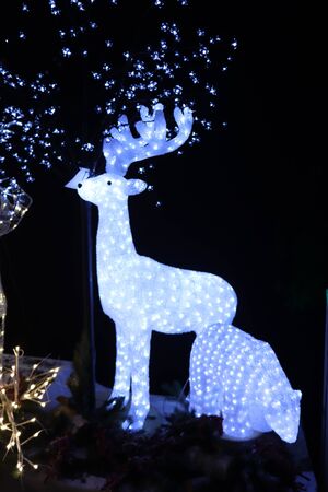 Aalsmeer, the Netherlands - November 7th 2018: Christmas illumination in various shapes an interior decoration shopのeditorial素材