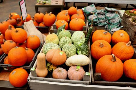 Cruquius, the Netherlands, October 26th 2018: Autumn decorations in a store display. Text on tags: prices and product information in Dutchのeditorial素材