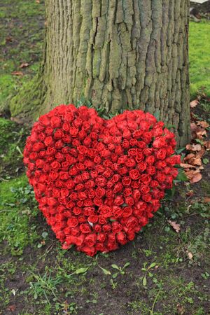 Red Heart sympathy flowers, roses in a heart shape, near a tree at a cemeteryの写真素材