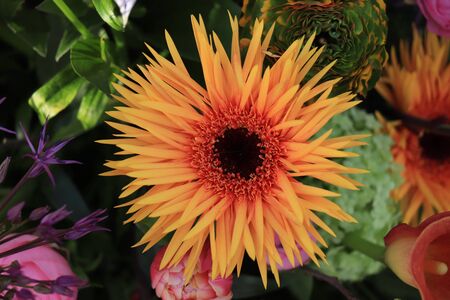 Wedding flowers, various flowers in bright colors