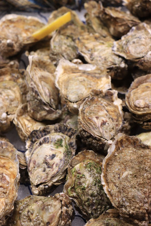 A pile of fresh oysters at a Spanish market