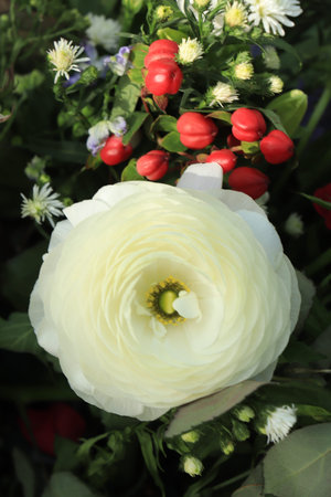 Big white Ranunculus in a wedding bouquet