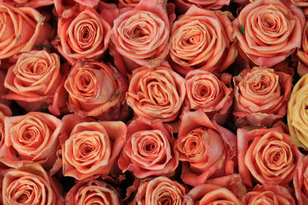 Peach colored roses in a big wedding centerpieceの写真素材