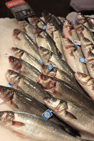 Barcelona, Spain - September 30th 2019: Fish department in a luxurious supermarket. Different sorts...