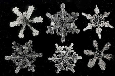 natural snow flakes on abstract backgroundの写真素材