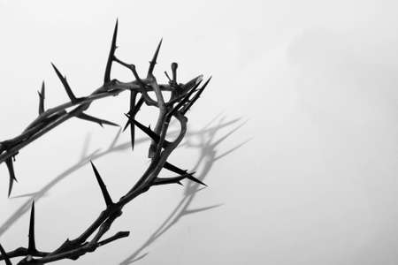 crown of thorns の写真素材