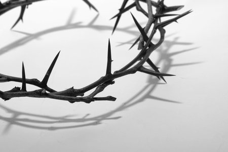crown of thorns の写真素材