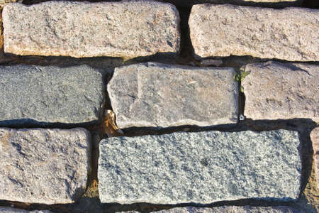 Paving stones texture