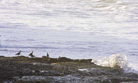 View of a rocky coast in the morning  の写真素材