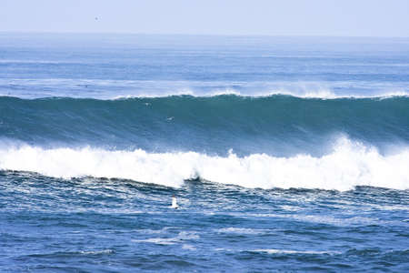 early morning california wave 