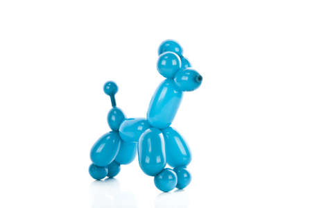 Simple balloon animal poodle on white の写真素材