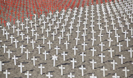 The military cemetery with white cross の写真素材