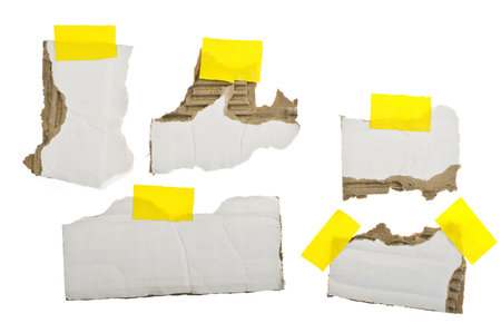 cardboard strips on white