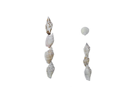 I letter from real seashells isolated on white background 
