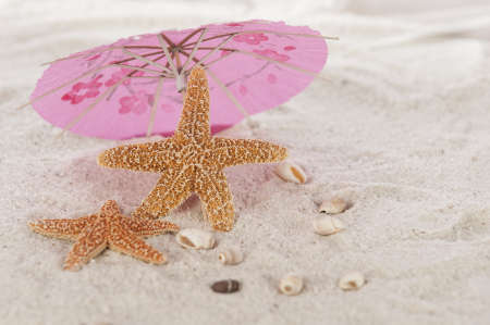 Star fish relaxing on the beachの写真素材