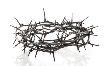 Crown of thorns on whiteの写真素材