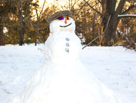 Snowman in the snowの写真素材