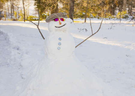 Snowman in the snowの写真素材