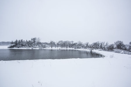 Trees with snow in winter park and pondの写真素材