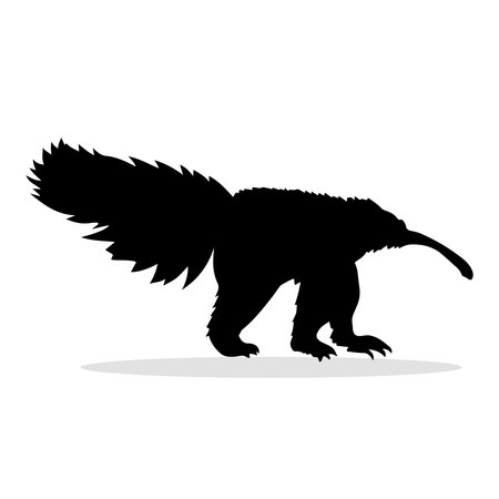 Vector image of a giant anteater silhouette on a white background.のイラスト素材