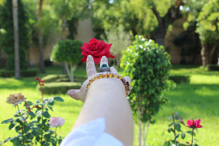 Fashion Accessories,Beautiful female hand with red flower,in gardenの写真素材