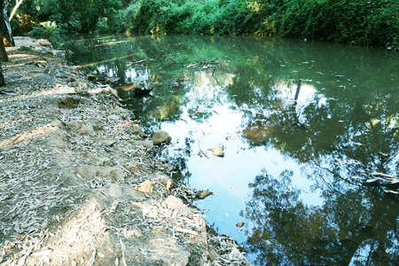 Gorgeous view over the green water Trees Reflection,River Pass through Forest.の写真素材