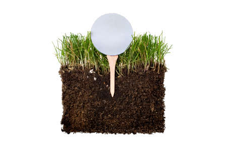green section with golf ball and teeの写真素材