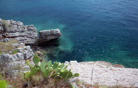 Sea rocky beach from highの写真素材