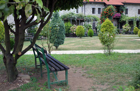 Single bench under the trees in gardenの写真素材