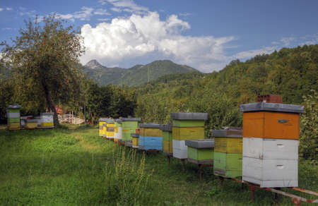 Apiary in mountains, bee-gardenの写真素材