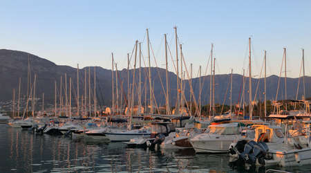 Sailing boats in the marina at sunsetの写真素材