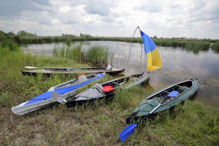 Group of kayaks on green grass after competitionの写真素材