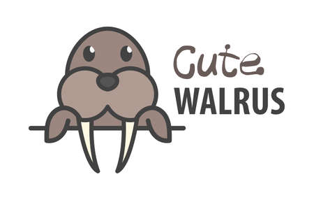 template with cute curious walrus.のイラスト素材