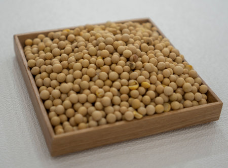 Dried soybeans, also soy beans or soya beans in a wooden trayの写真素材