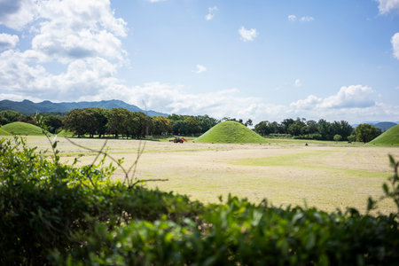 Daereungwon Tomb Complex in a Verdant Landscape in Gyeongju, South Koreaの写真素材