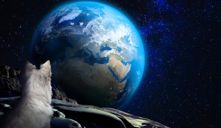 White dog on the moon staring at the planet earth. Fantasy theme.の写真素材