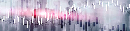 Financial Stock Market Graph. Website Economic Banner